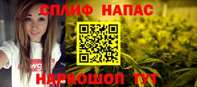 гашик Нальчик