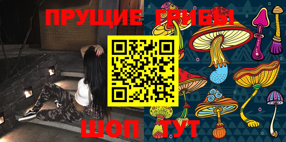Псилоцибиновые грибы Cubensis Шадринск